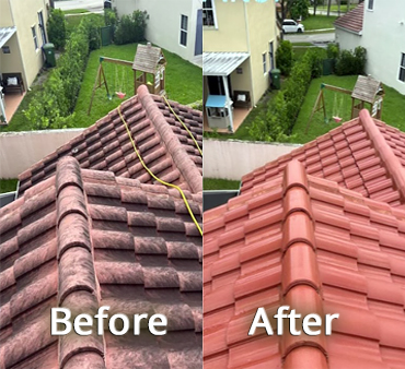 Roof Cleaing